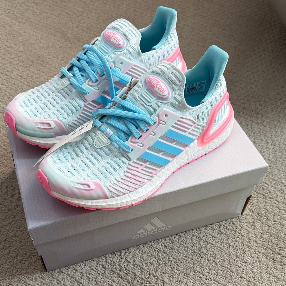 Adidas Pastel Blue and Pink Ultraboost Shoes